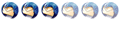 Membre