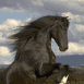 Galop 2