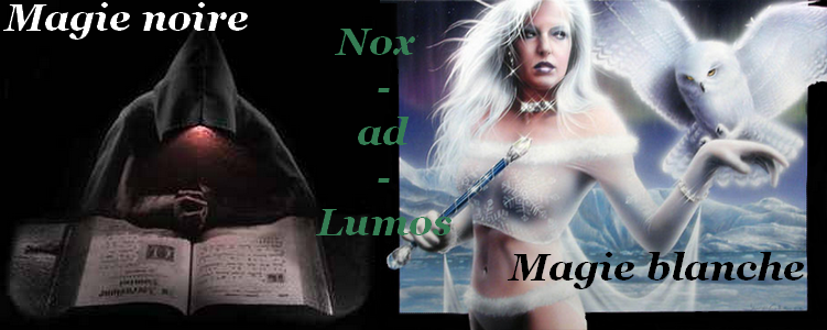 Nox-ad-Lumos, quand la magie vous entraine. Forum Index