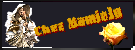 CHEZ MAMIE JO Forum Index