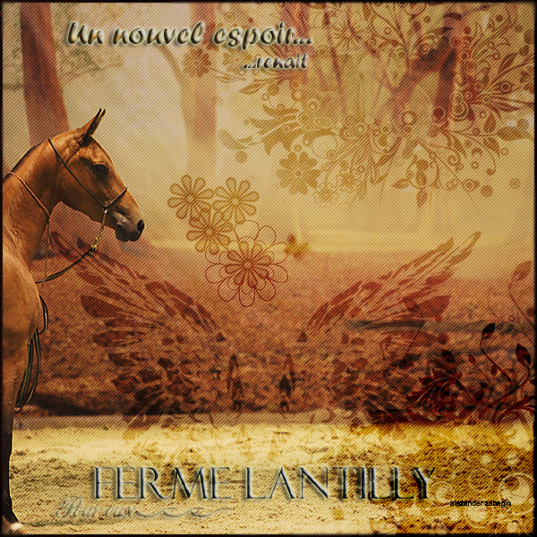 Ferme équestre Lantilly Forum Index