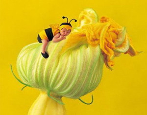 Les bebes en folies Forum Index