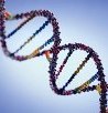 http://img6.xooimage.com/files/1/6/4/biotechnologie-1ff8f4a.jpg