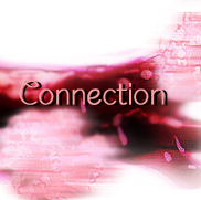 Log in