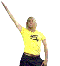 http://img6.xooimage.com/files/2/2/c/casse-brice-5370355632-19001b2.gif