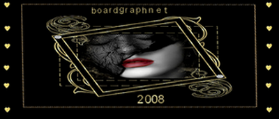 boardgraphnet2008