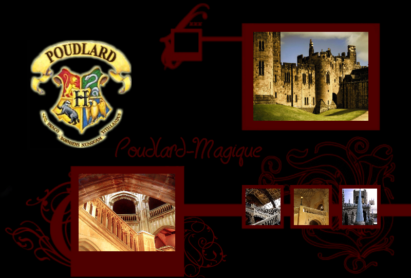 Poudlard-Magique Forum Index