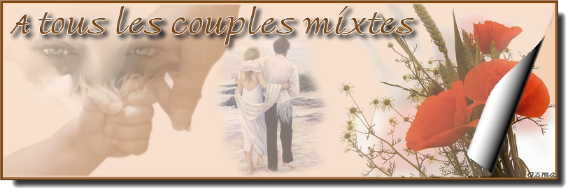 A TOUS LES COUPLES MIXTES Forum Index