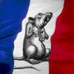 Qui est en ligne ?