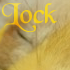 Forum is locked