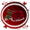 No new posts [ Popular ]