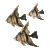 No new posts