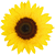 New posts