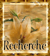 Search