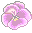 No new posts
