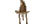 No new posts