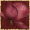 New posts [ Popular ]