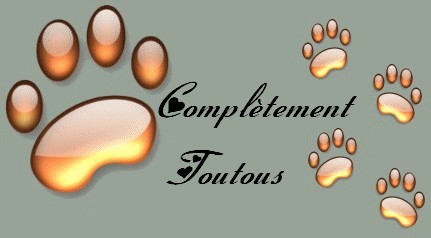  Forum Index
