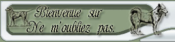Ne M'oubliez Pas  Forum Index