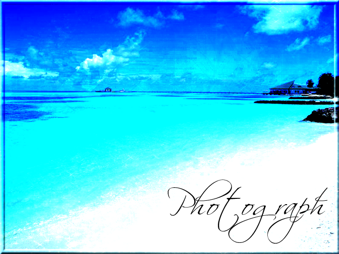Photograph Forum Index