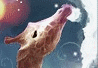 No new posts