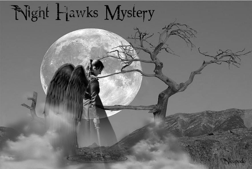 Night Hawks Mystery
