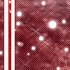 No new posts [ Popular ]