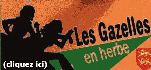 LES GAZELLES EN HERBE Forum Index