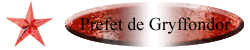 Prefet Gryffondor