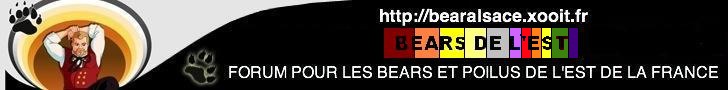 BEARS DE L'EST Forum Index