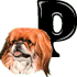 No new posts