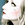 New posts