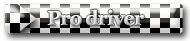 <font color=574048>Pro driver</font>