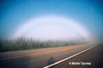 FOGBOW