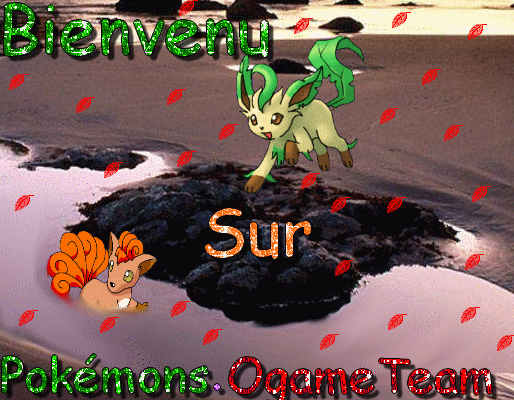 Le forum Pokémon Forum Index