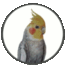 No new posts No new posts