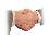 http://img6.xooimage.com/files/9/f/c/00-recrutement-2c341f.jpg