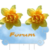 fleurs de bach et élixirs floraux  solange  Forum Index