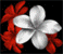 New posts