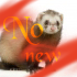 No new posts No new posts