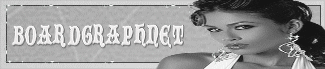 boardgraphnet2008