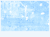 No new posts