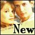 New posts