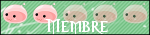 Membre