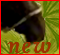 New posts