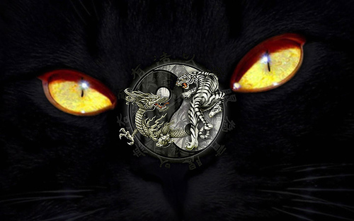 Les Dragons Noir Index du Forum