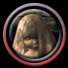 New posts