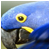 New posts