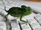 New posts