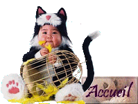 Forum test Forum Index